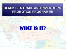 WHAT IS IT? BLACK SEA TRADE AND INVESTMENT PROMOTION PROGRAMME