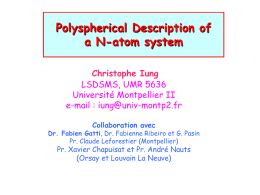Polyspherical Description of a N-atom system Christophe Iung LSDSMS, UMR 5636