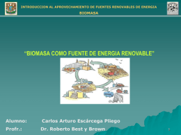 “BIOMASA COMO FUENTE DE ENERGIA RENOVABLE” Alumno: Carlos Arturo Escárcega Pliego