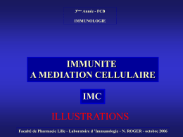 ILLUSTRATIONS IMMUNITE A MEDIATION CELLULAIRE IMC