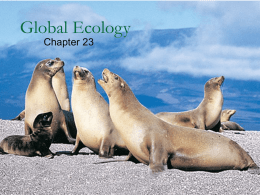 Global Ecology Chapter 23 1