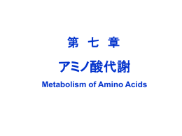 アミノ酸代謝 第 七 章 Metabolism of Amino Acids