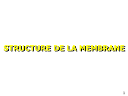 STRUCTURE DE LA MEMBRANE 1