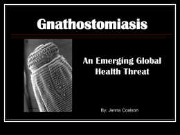 Gnathostomiasis An Emerging Global Health Threat By: Jenna Coalson
