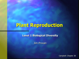 Plant Reproduction Level 1 Biological Diversity Jim Provan Campbell: Chapter 38