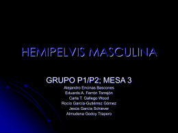 HEMIPELVIS MASCULINA GRUPO P1/P2; MESA 3