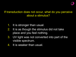 If transduction does not occur, what do you perceive 1. 2.