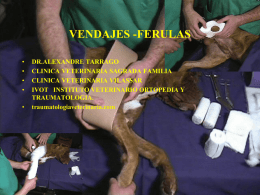 VENDAJES -FERULAS