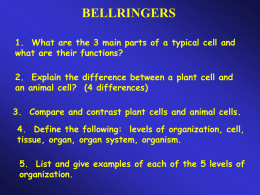 BELLRINGERS