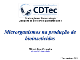 Microrganismos na produção de bioinseticidas