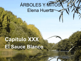 Capítulo XXX El Sauce Blanco ÁRBOLES Y MITOS Elena Huerta