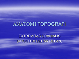 ANATOMI TOPOGRAFI EXTREMITAS CRANIALIS (ANGGOTA GERAK DEPAN)