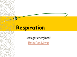 Respiration Let’s get energized!! Brain Pop Movie