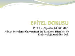 Prof. Dr. Alpaslan GÖKÇİMEN Adnan Menderes Üniversitesi Tıp Fakültesi Histoloji Ve