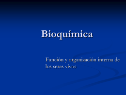 Bioquímica Función y organización interna de los seres vivos