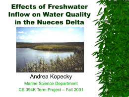 Effects of Freshwater Inflow on Water Quality in the Nueces Delta Andrea Kopecky