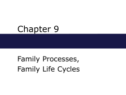 Chapter 9 Family Processes, Family Life Cycles