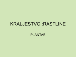 KRALJESTVO :RASTLINE PLANTAE