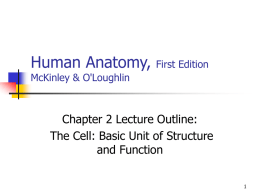 Human Anatomy, Chapter 2 Lecture Outline: The Cell: Basic Unit of Structure