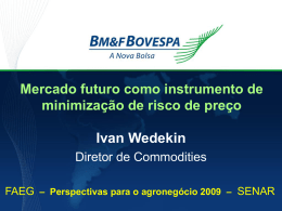 Ivan Wedekin Mercado futuro como instrumento de minimização de risco de preço