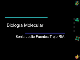Biología Molecular Sonia Leslie Fuentes Trejo RIA
