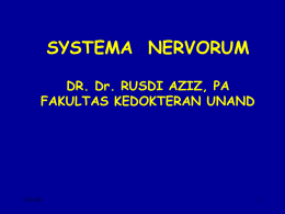SYSTEMA  NERVORUM DR. Dr. RUSDI AZIZ, PA FAKULTAS KEDOKTERAN UNAND 8/21/04