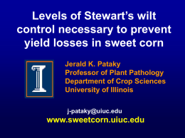 Levels of Stewart&rsquo;s wilt control necessary to prevent www.sweetcorn.uiuc.edu