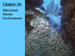 Chapter 10: Siliciclastic Marine Environments