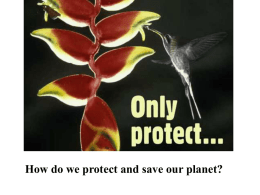 How do we protect and save our planet?