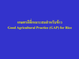 เกษตรดีที่เหมาะสมส าหรับข้าว Good Agricultural Practice (GAP) for Rice