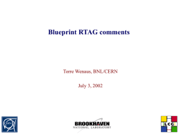 Blueprint RTAG comments Torre Wenaus, BNL/CERN July 3, 2002