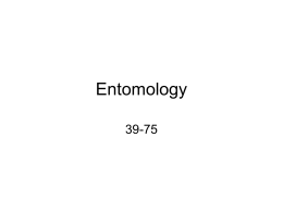 Entomology 39-75