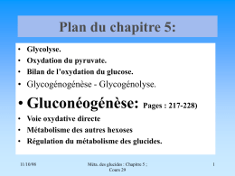 Gluconéogénèse: Plan du chapitre 5: • Glycogénogénèse - Glycogénolyse.