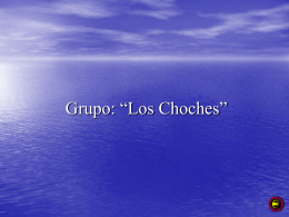 Grupo: “Los Choches”