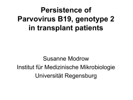 Persistence of Parvovirus B19, genotype 2 in transplant patients Susanne Modrow