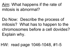 Aim: What happens if the rate of mitosis is abnormal?