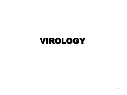 VIROLOGY 1
