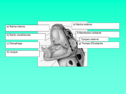 e) Narine externe a) Narine interne f) Membrane nictitante b) Dents vomériennes