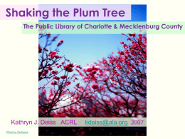 Shaking the Plum Tree Kathryn J. Deiss   ACRL