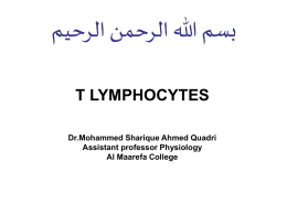 T LYMPHOCYTES Dr.Mohammed Sharique Ahmed Quadri Assistant professor Physiology Al Maarefa College