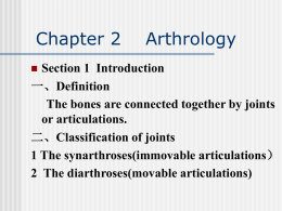 Chapter 2    Arthrology