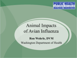 Animal Impacts of Avian Influenza Ron Wohrle, DVM Washington Department of Health