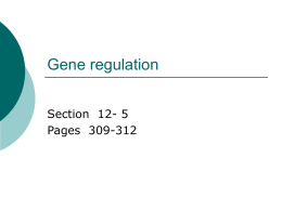 Gene regulation Section  12- 5 Pages  309-312