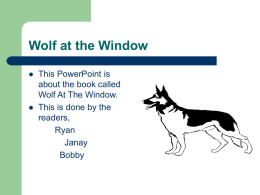 Wolf at the Window This PowerPoint is about the book called