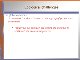 Ecological challenges The global commons collectively.