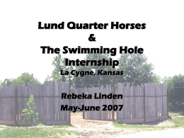 Lund Quarter Horses &amp; The Swimming Hole Internship