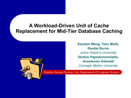 A Workload-Driven Unit of Cache Replacement for Mid-Tier Database Caching Randal Burns