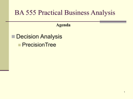BA 555 Practical Business Analysis Decision Analysis PrecisionTree 
