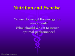 Nutrition and Exercise Where do we get the energy for movement?