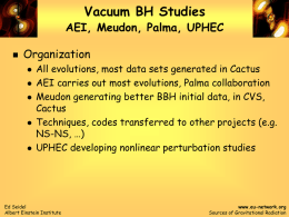 Vacuum BH Studies AEI, Meudon, Palma, UPHEC Organization